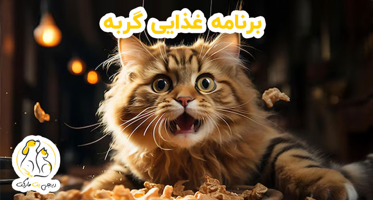 برنامه غذایی گربه