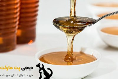 10 غذای انسان که سگ ها می توانند بخورند - عسل