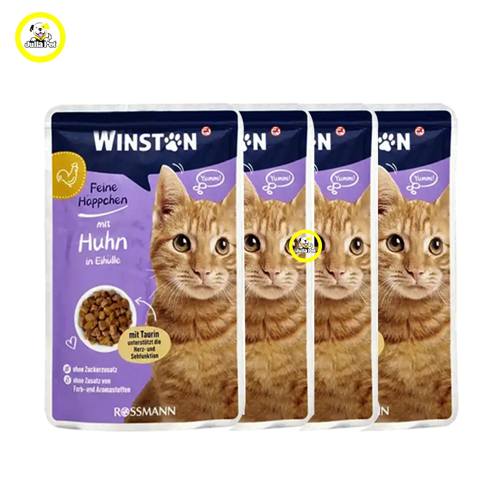 پوچ گربه وینستون پوچ گربه وینستون