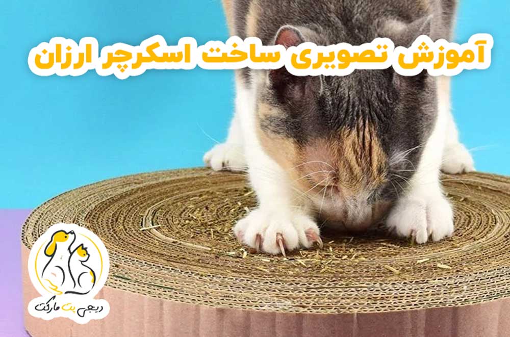 ساخت اسکرچر ارزان