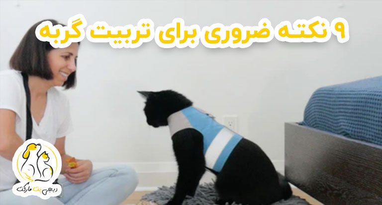 9 نکته ضروری برای تربیت گربه